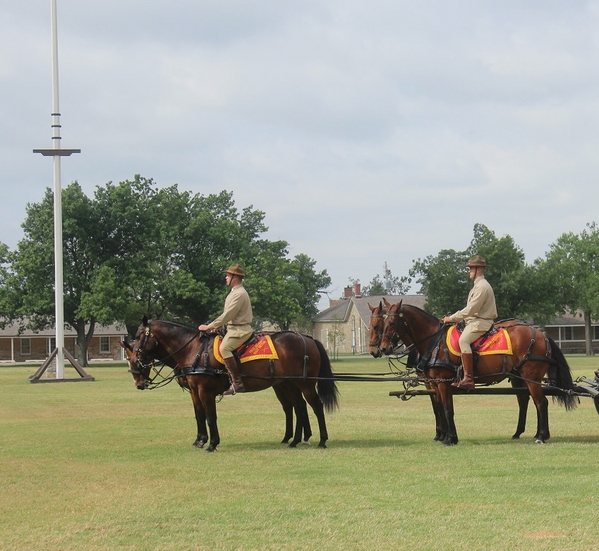 The Waldman Collection - Retirement Ceremony
Mounted artillery took part in the pass-in-review.

