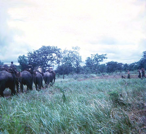 March of the Elephants
Once again, elephants are captured as part of the Vietnam lore.
