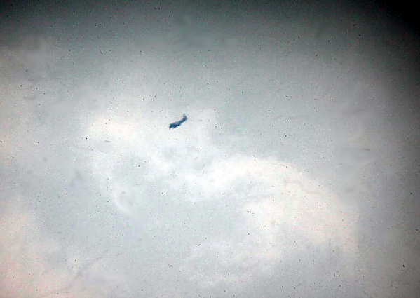The Skyraiders
A1E Skyraider on a bombing run.
