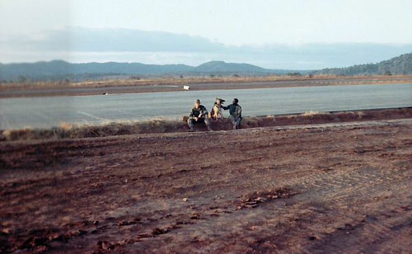 Waiting for a lift
February, 1969.  Scout Dog and two handlers awaiting airlift.
