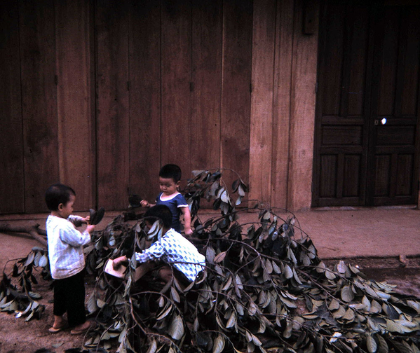Pleiku series
Typical Vietnamese children playing with downed tree branches.
